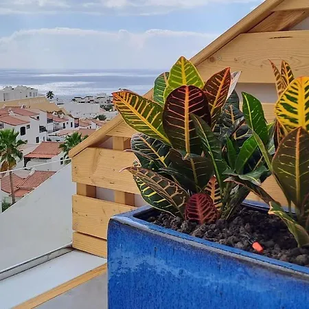 Serenity Ocean View 1br With Terrace, Pool & Walk To Beaches