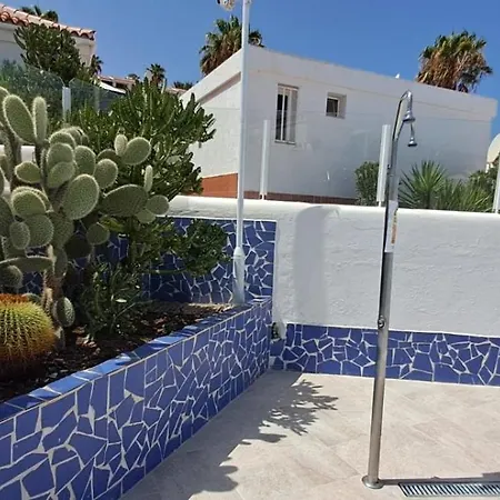 Serenity Ocean View 1br With Terrace, Pool & Walk To Beaches Apartment *